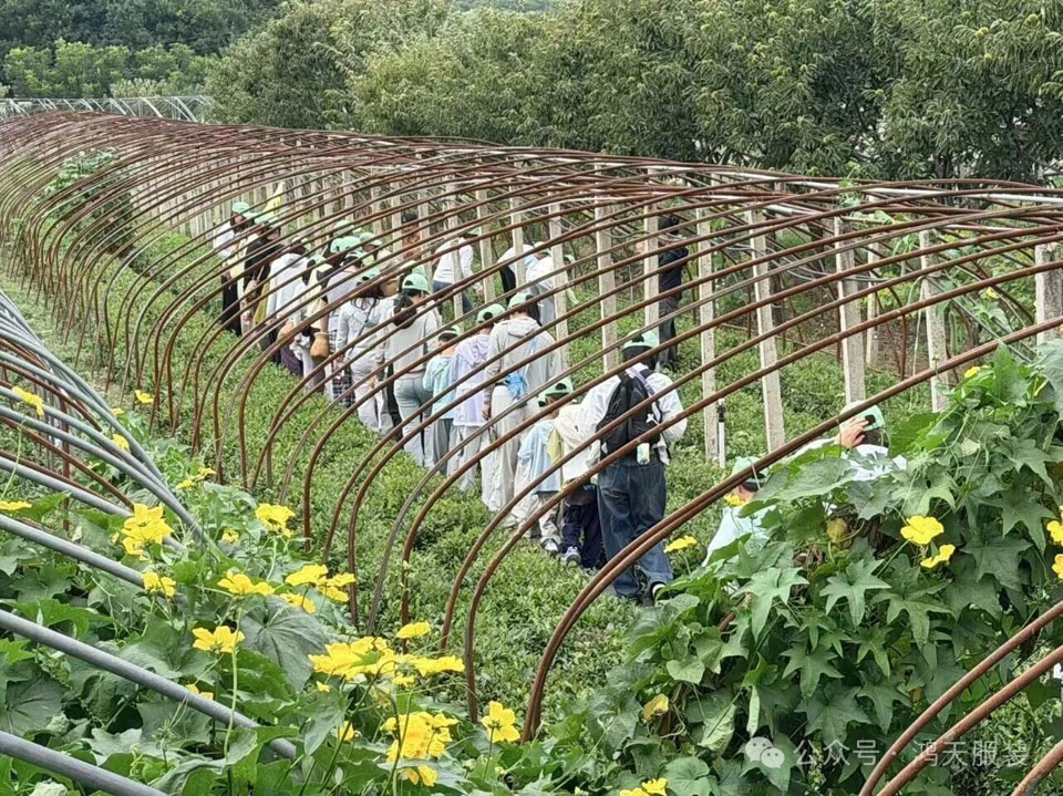 微信图片_2026-08-24_131302_551.jpg